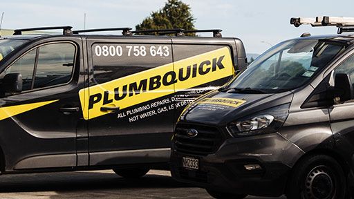 Professional Remuera Plumbers